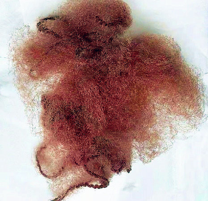 Les filets à cheveux invisibles en nylon de Brown 14&quot; les filets de cheveux jetables engrènent